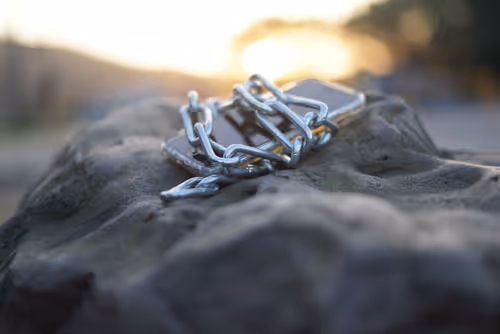 Untitled Collection #101633312