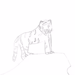 Bengal Tiger #55