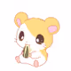 crypto_ss Collection