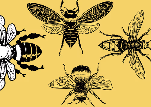 Item #98452652739139728385833177139880784176422420203299536309471942760218564231169 Media