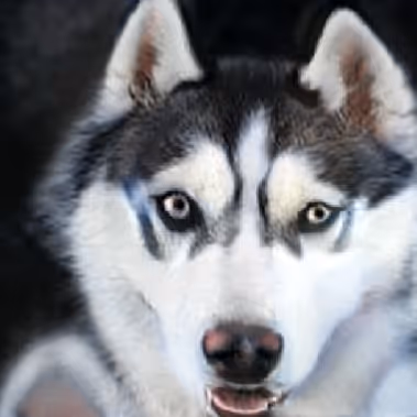 Item #55525875118330994482032925216761404736570211771565447267945268436688655351809 Media