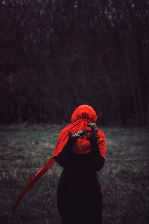 Item #650746001155939105340423805722977289149389340762719357359196332438633578497 Media