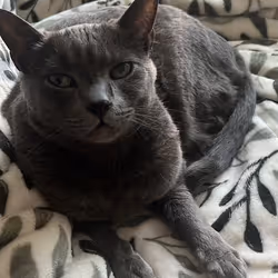 Jack