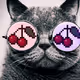 Pixel Pussy Fruit