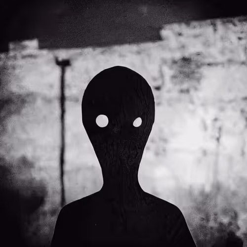 Item #7108730984310367329622004428652703089385438013429351672896295898765229817857 Media