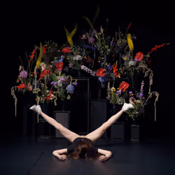 29225512278462627521798648337765154625875213490195303772458487983448457740289