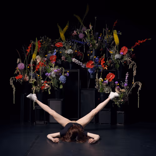 29225512278462627521798648337765154625875213490195303772458487983448457740289