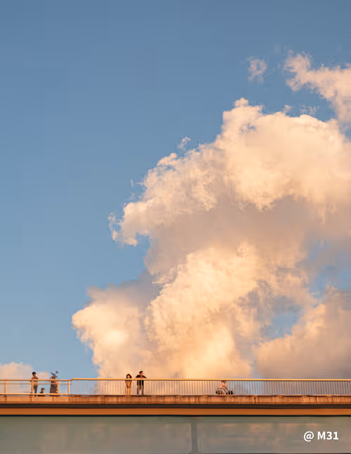 Item #35521867925384700438137733970135530009129570228882814321831666651308459294820 Media