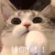 sss49