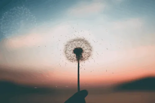 Item #31900271073354632832991890429912638653086322620126594410230774060104271527937 Media