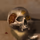 Gilded Expedition