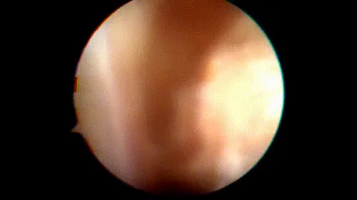 Item #24107156077092175363471530907310782256517249807396110610861913605642288889857 Media