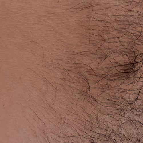 Item #15445115341978895749400258717831267901175031190841581355540861857417014542337 Media