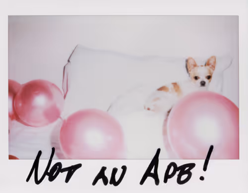 Item #8675165993673311167133932522460401919325379274043569756846793123070797152257 Media