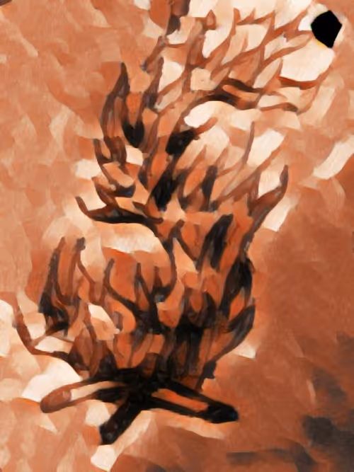 Item #64385289759993167919090924141153519786387431553815966680234725887214102773761 Media