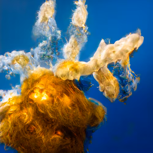 Item #14102882077376408625563496511892199093358336645069197561900844766122246930433 Media