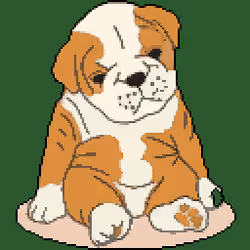 Sweet Dog