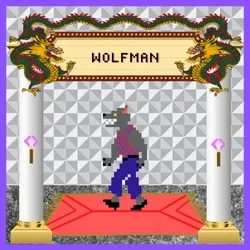 Wolfman - #10