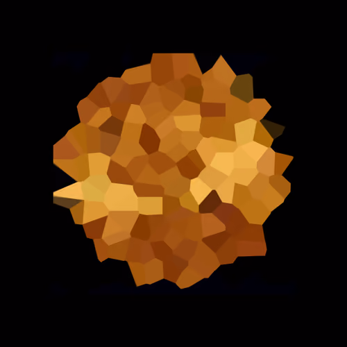 Venus