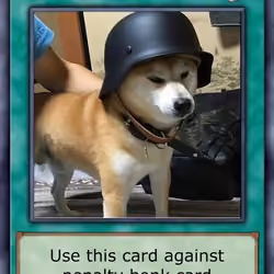 Anti-Horny BONK Helmet