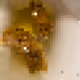 2850415134272365380187775685678842410458265265709128331682257606331328364545