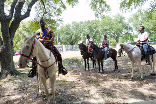 Item #52723320394616778036117287780572483102044091598855630984927915450291458146305 Media