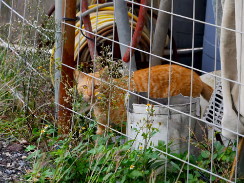 Item #55455677318123595031509472603724202920888355633279889545160944704020870594561 Media