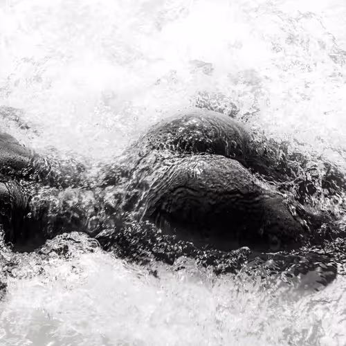 Item #74895612829637780706248325170650045951376310524088245673866730570654219763713 Media