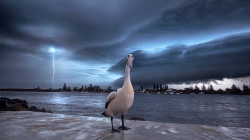 Item #5616953568499340907775711825497604278044637464082209410752742942914530770945 Media