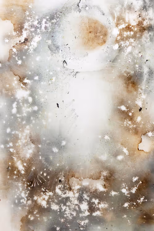 Item #111264774895172989553606282022194155892745764425417346937131400121248135512065 Media