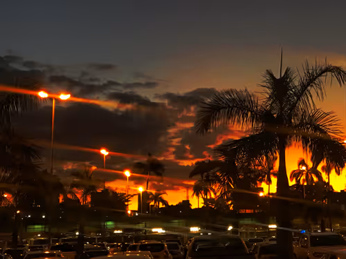 Item #33347897638193917391032816227554196615020027982861702580251233535957154136065 Media