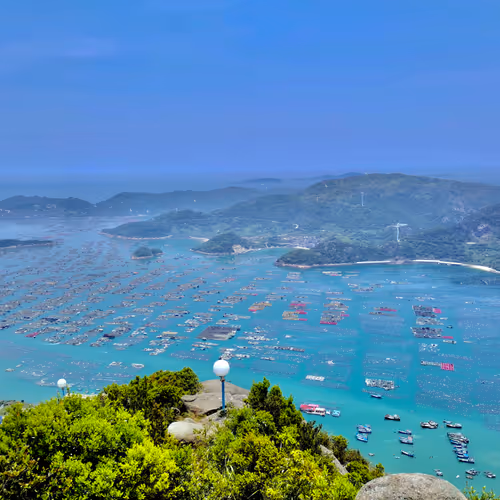 Untitled Collection #71596729