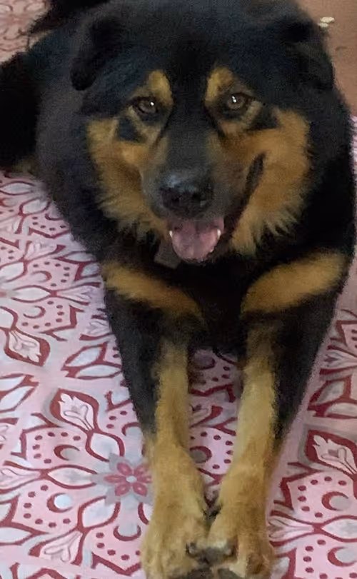 Item #56055091060271351536523847984853154360378800009370414984463609016289215905793 Media