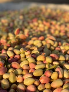 Cal agriculture