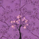 Blockchain Bonsai