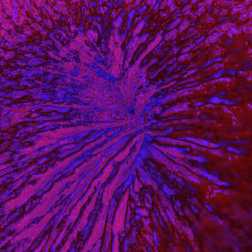 Item #38748192286267356930689689992324455160612969586483070519053316886345403072513 Media