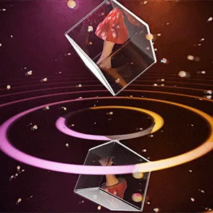 Item #15887244992943329860203279047005946227789724570324459330911374937650750291969 Media