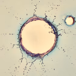 46489901761508154690977052556102681350934379687164571149816291685408421445633