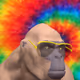 9250605307595587702394234850661833939238315302181593942266886276411769749505