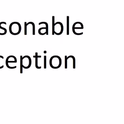 Reasonable Perception