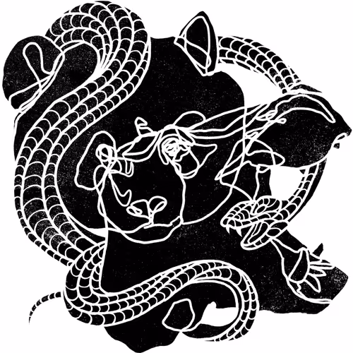 Item #10674423169027609588700307222221856685568055800651836493280673665695346589697 Media