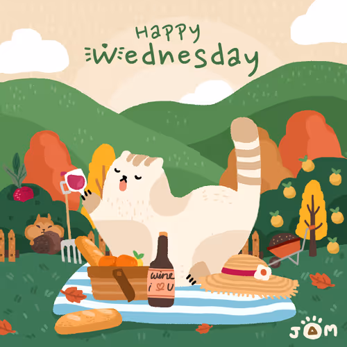 Everyday Is Cat