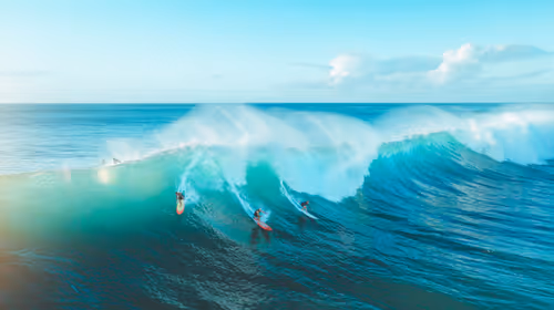 Item #78064220502355505726869985793984720926867023015257308531581829165899040423937 Media