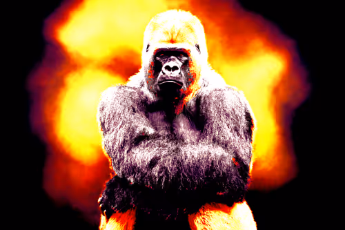 Item #37771705042607633984215485442696248406020579018981637919666644989219772039169 Media