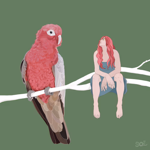 Item #11087971991276652899263027214511266002670057069097658191888876412031018729473 Media