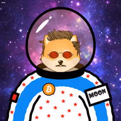 Dogelon astronaut #17