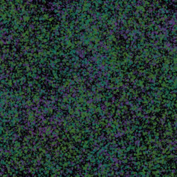 944858660688572096584618472555991747686703840338442188877309635744873054209