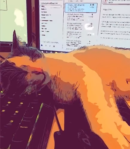 Feline to Five Shift