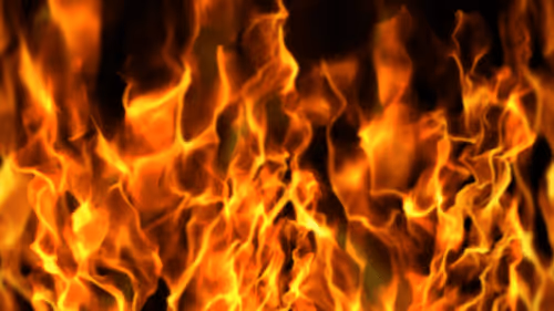 MCMD Collection - old