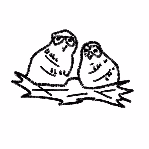 Baby Owls 
